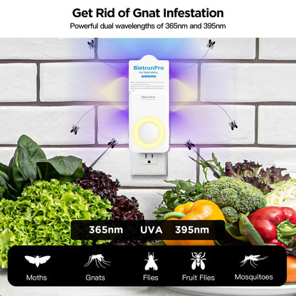 Fly Traps Indoors, Gnat Traps for House Indoor with Night Light, 3-in-1 UV/Blue/Yellow Light Plug-in Flying Insect Traps, Fruit Fly Killer, NAT Killer, Get Rid of Gnat Infestation