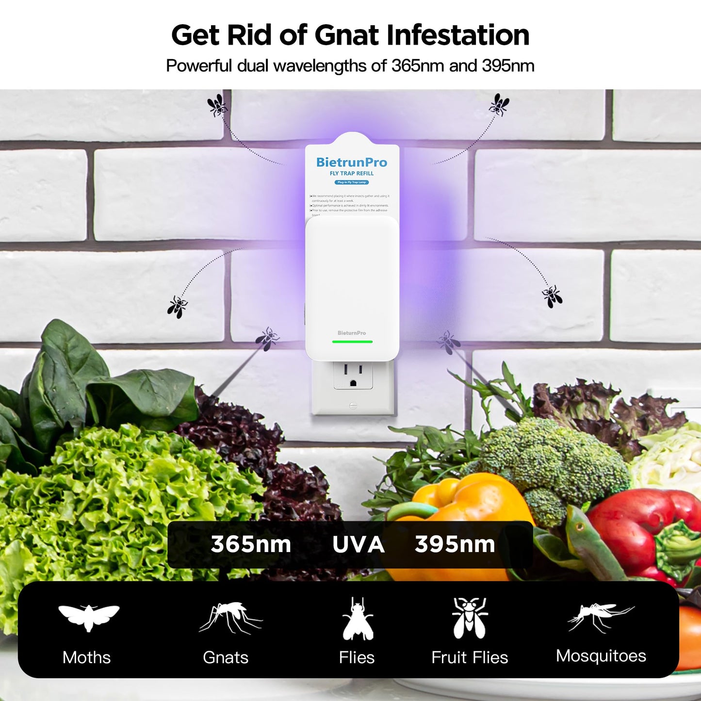 Fly Traps Indoors, Gnat Traps for House Indoor, 3-in-1 UV/Blue/Yellow Light Plug-in Flying Insect Catcher Bug Zapper, Fruit Fly Killer, NAT Killer, Get Rid of Gnat Infestation