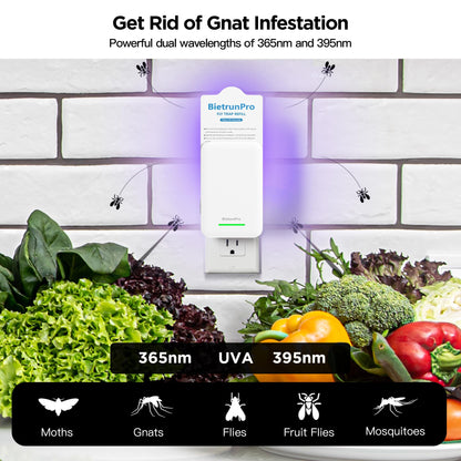 Fly Traps Indoors, Gnat Traps for House Indoor, 3-in-1 UV/Blue/Yellow Light Plug-in Flying Insect Catcher Bug Zapper, Fruit Fly Killer, NAT Killer, Get Rid of Gnat Infestation