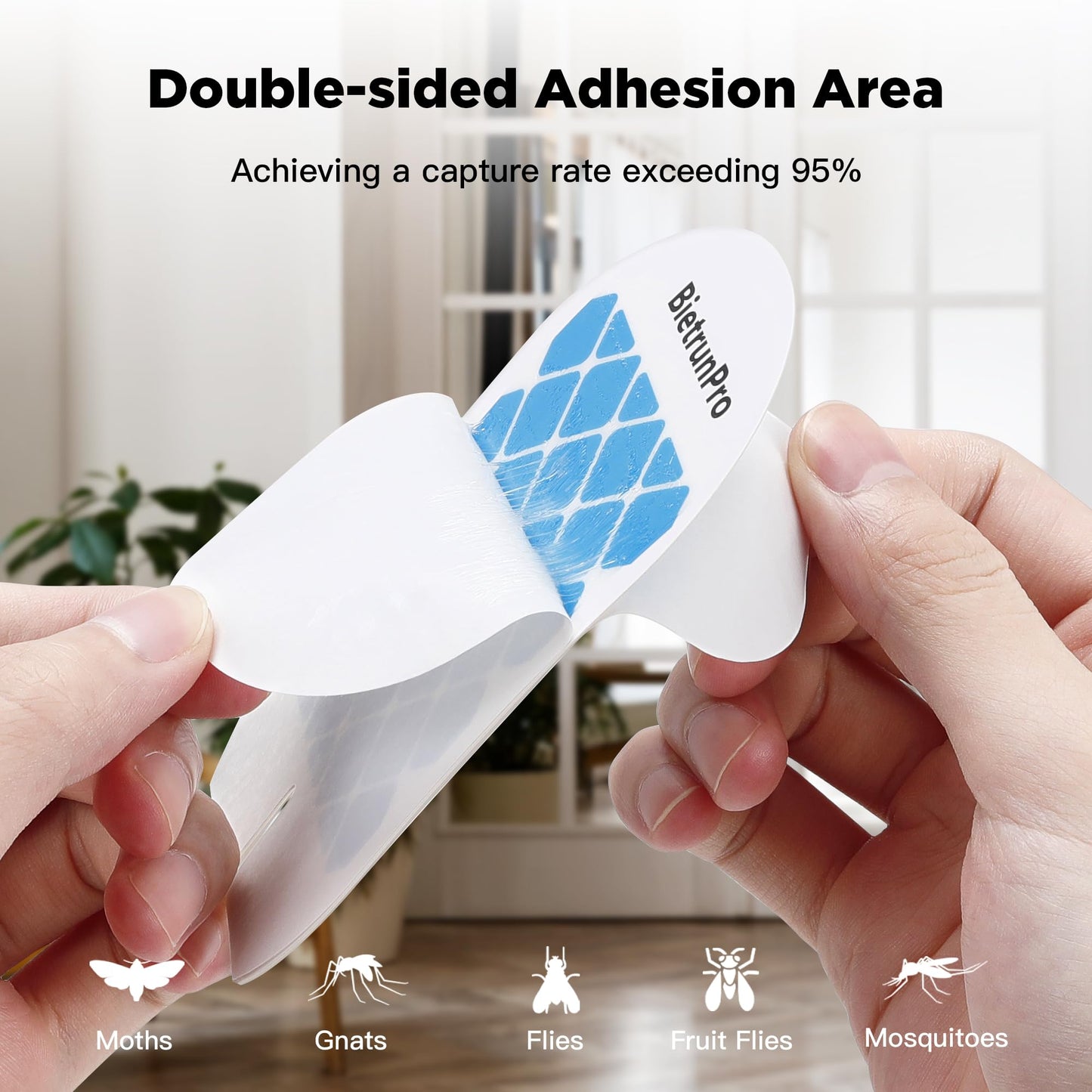 Fly Trap Refill Cartridges BietrunPro, 10 Pack, Indoor Plug-in Fly Trap Refill Pack of Glue Cards Replacement, Sticky Refillable Glue Boards, Indoor Fly Traps Refill Kit(for FCZZ-01)