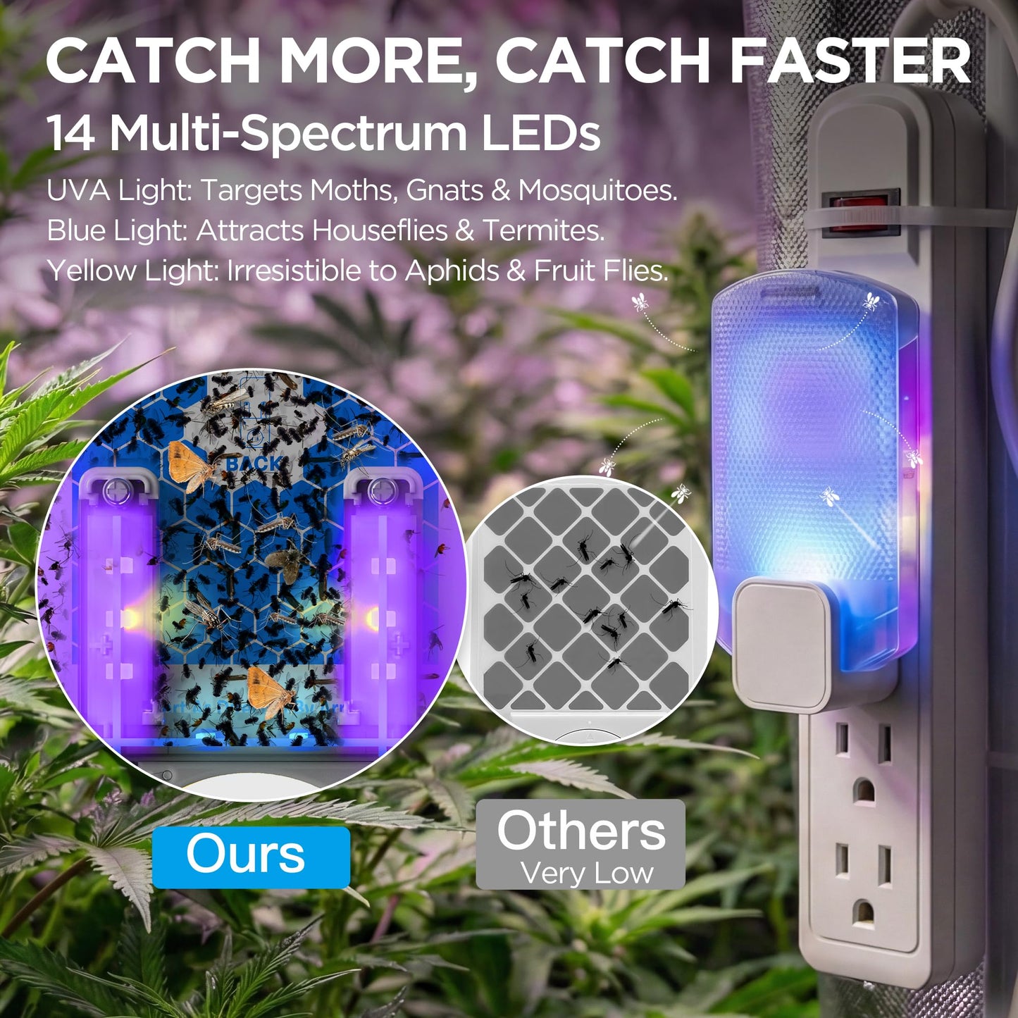 Fruit Fly Traps for Indoors for Fruit Flies, Gnats, Flying Insects, Moths, Bugs, Fungus, 3-in-1 UV/Blue/Yellow Light Plug-in Gnat Traps, No-Mess Bug Zapper, 7 * 24hrs Pest Control