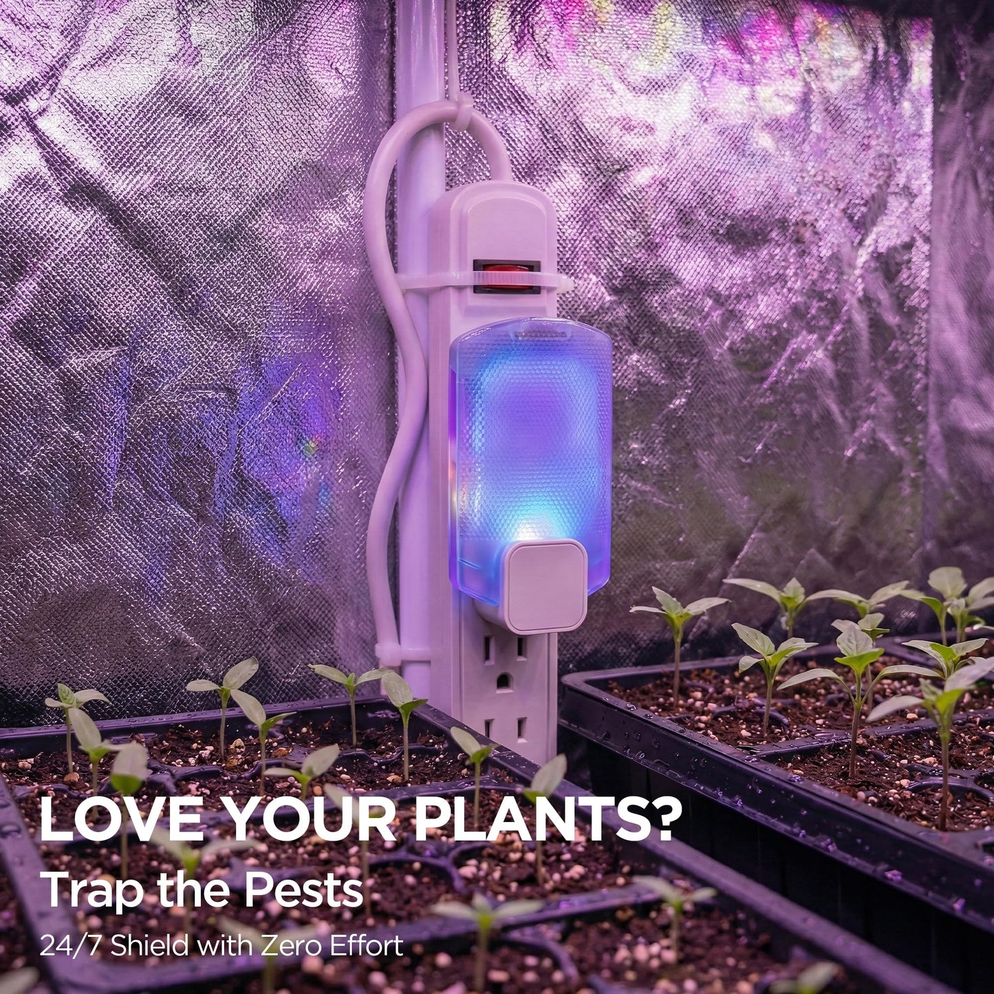 Fruit Fly Traps for Indoors for Fruit Flies, Gnats, Flying Insects, Moths, Bugs, Fungus, 3-in-1 UV/Blue/Yellow Light Plug-in Gnat Traps, No-Mess Bug Zapper, 7 * 24hrs Pest Control