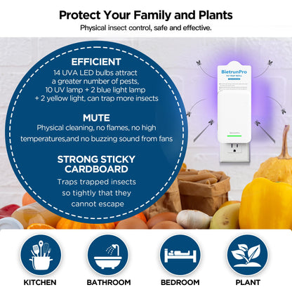 Fly Traps Indoors, Gnat Traps for House Indoor, 3-in-1 UV/Blue/Yellow Light Plug-in Flying Insect Catcher Bug Zapper, Fruit Fly Killer, NAT Killer, Get Rid of Gnat Infestation