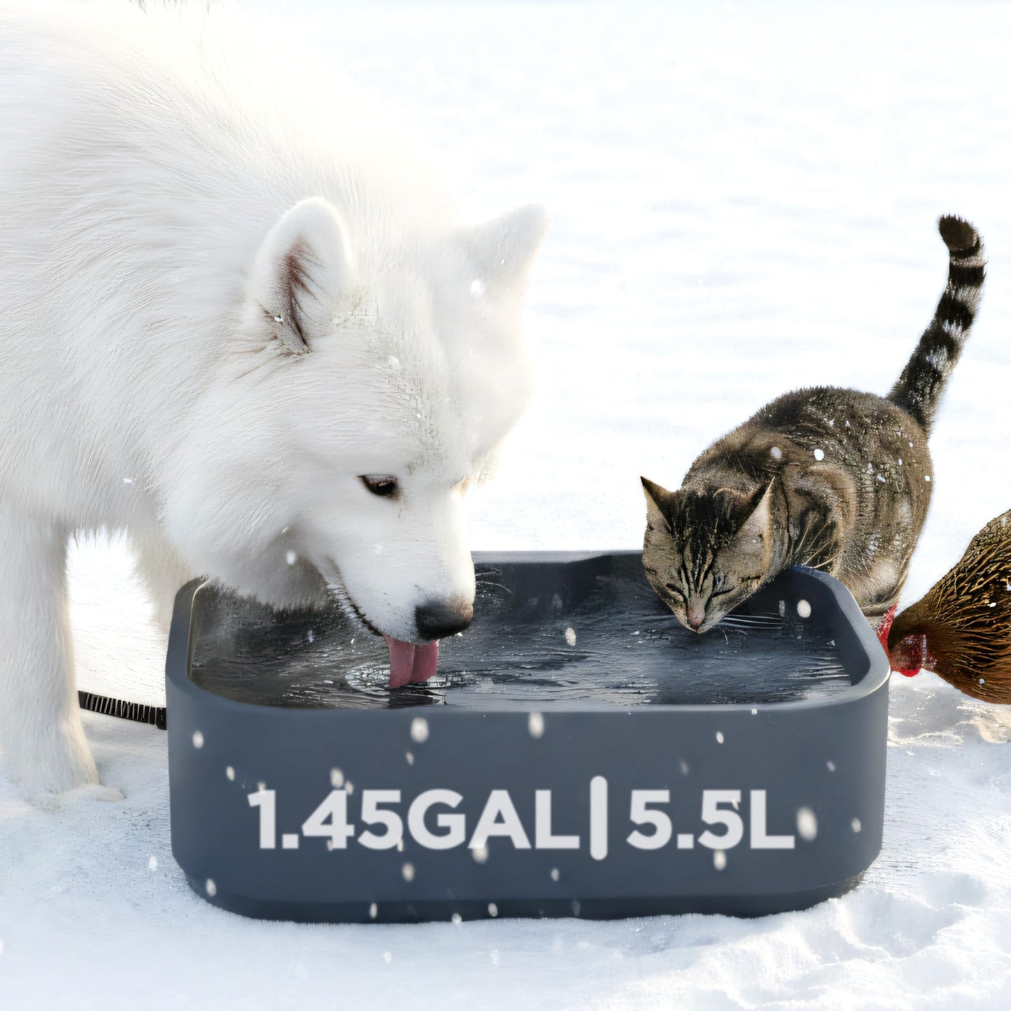 5.5L/1.45Gal Extra Large Heated Water Bowl, Indoor & Outdoor Winter Antifreezing Pet Heated Thermal Water Bowl Dish, Anti Chewy Cord, BPA-Free, Pet Products for Dog Cats Rabbit Chicken Duck Squirrel